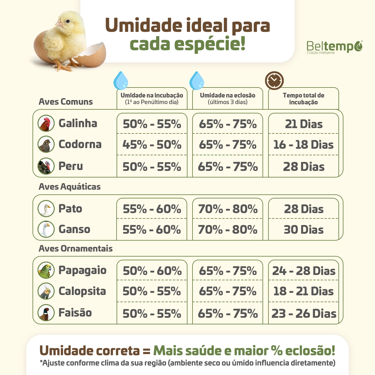 chocadeira-bt-400-1.10