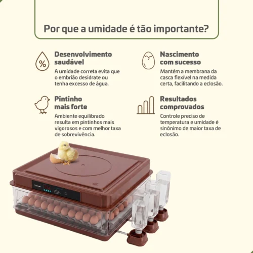 Chocadeira Incubadora 130 Ovos Bivolt Certificada Inmetro Beltempo BT-400
