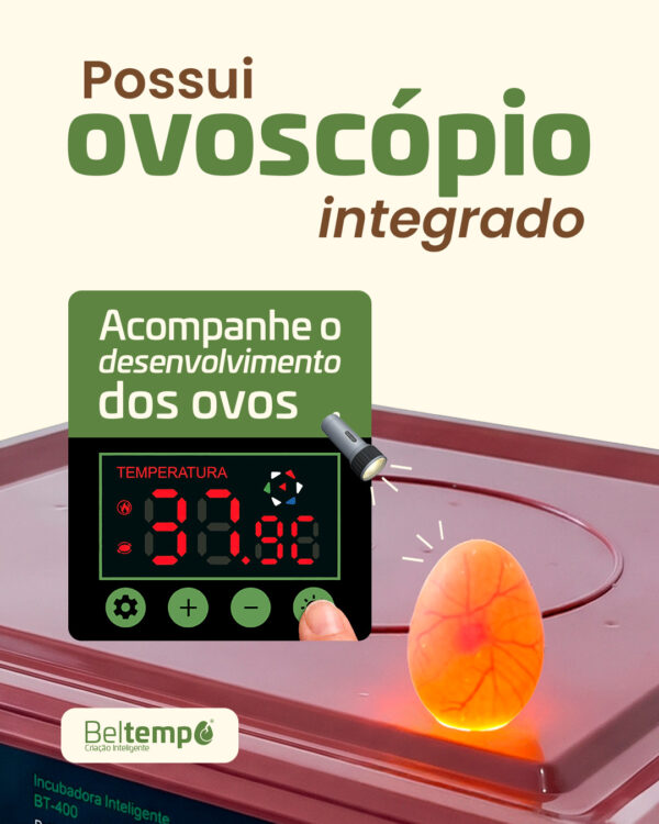 Você sabia que a sua Chocadeira Beltempo possui ovoscópio integrado? Com ele, você pode acompanhar…